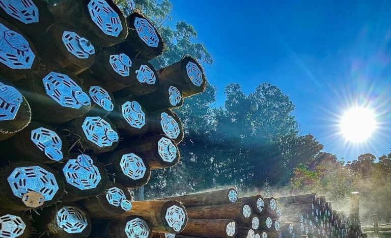 Timber Treatment Products